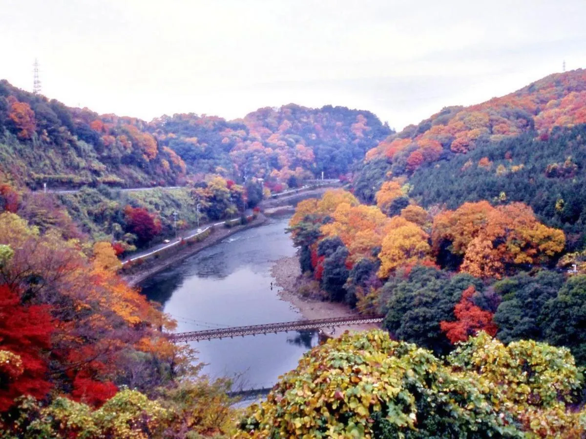 ホテル 花やしき浮舟園 宇治市 旅館