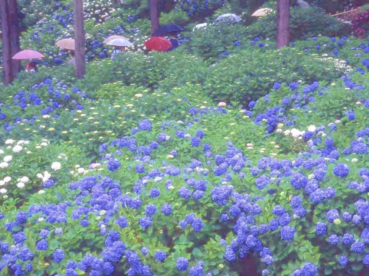 旅館 ホテル 花やしき浮舟園 宇治市